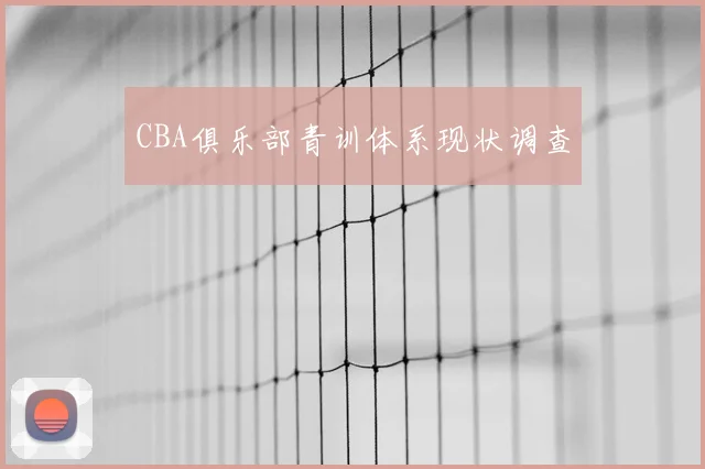 CBA俱乐部青训体系现状调查
