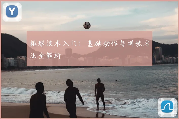 排球技术入门:基础动作与训练方法全解析
